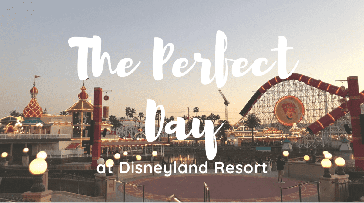 DLR Perfect Day Header