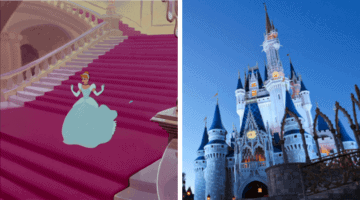 Orange County Florida Curfew Walt Disney World
