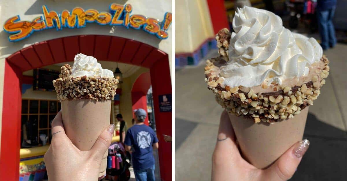 Disney Shake
