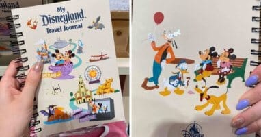 Disneyland Travel Journal