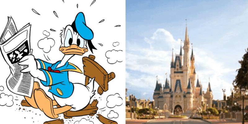 Disney in Plain English Disney News