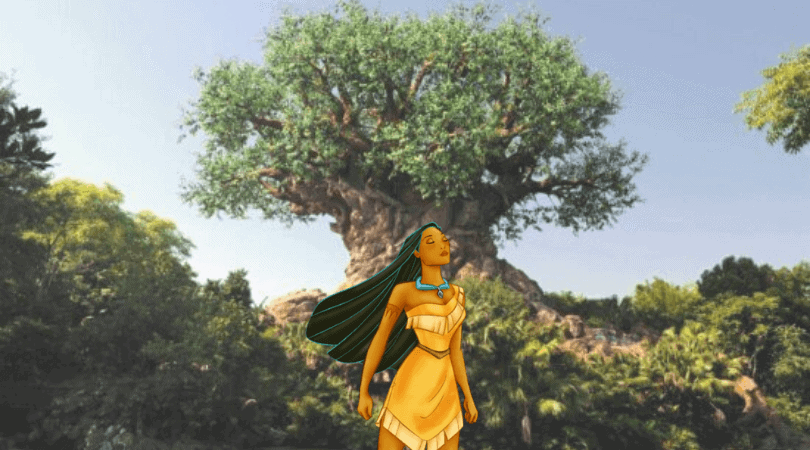Disney World Florida Air Quality