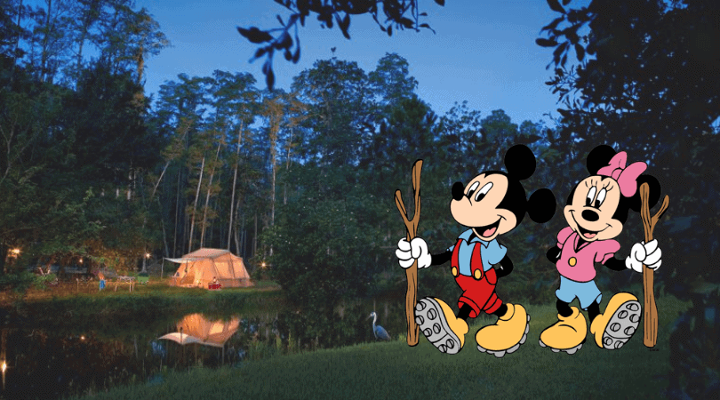 fort wilderness discount