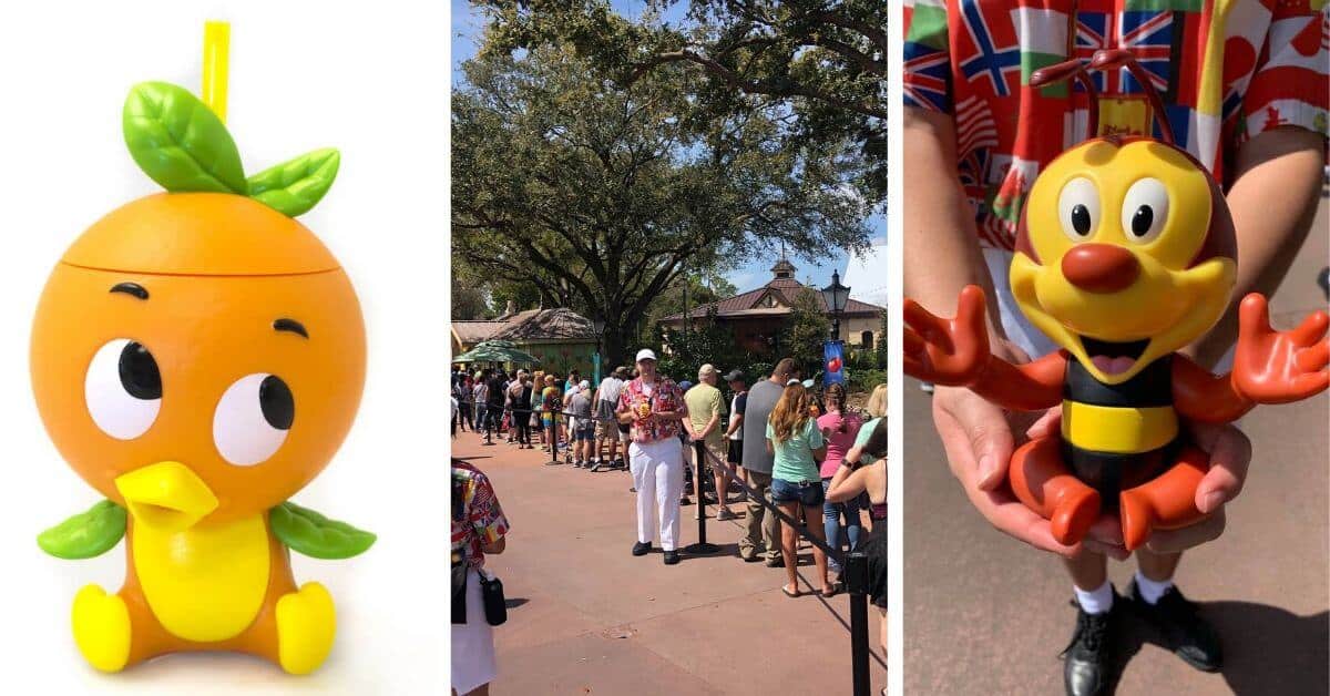 Epcot Festival