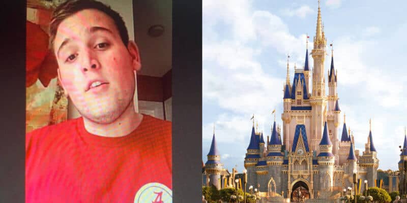 Cinderella Castle and Coronavirus patient