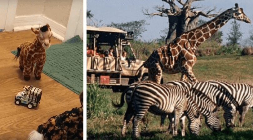 Cast Member Recreates Kilimanjaro Safari at home