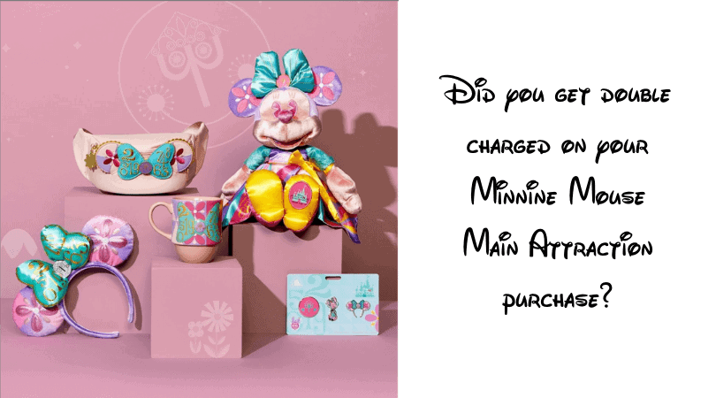 shopdisney doube charge