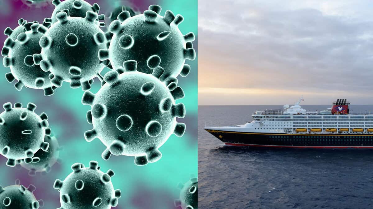 DCL Coronavirus Header