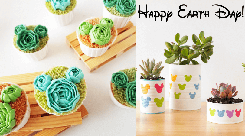 Mickey Succulents Cupcakes and Planters