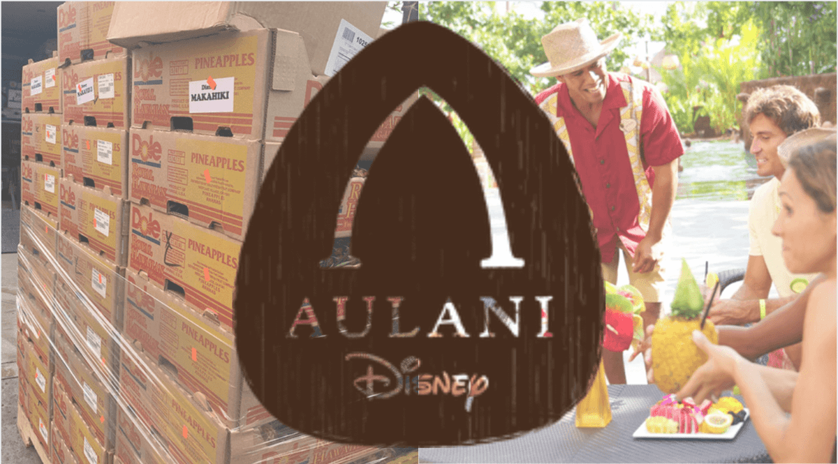 aulani food donation