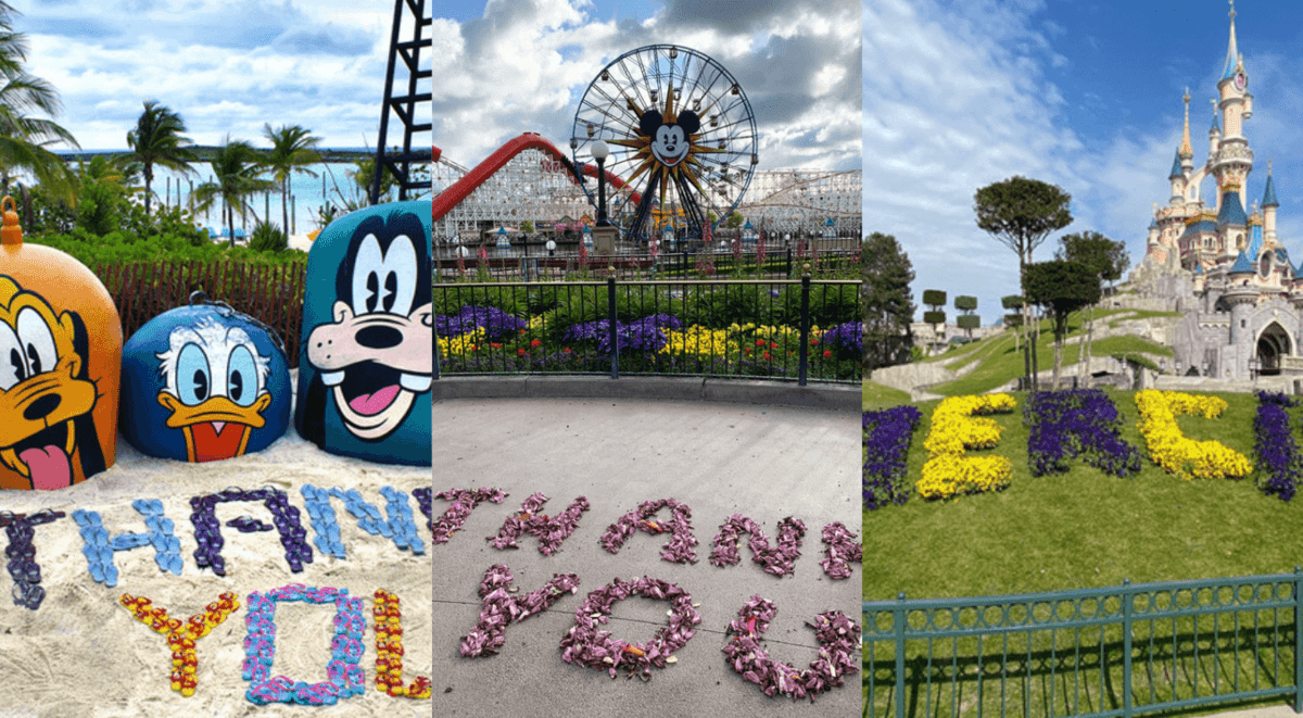 disney world health day
