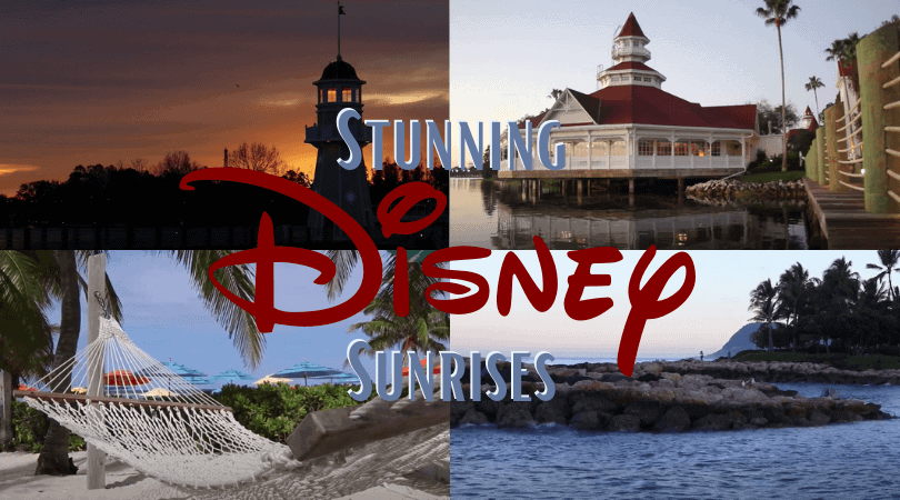disney sunrise series