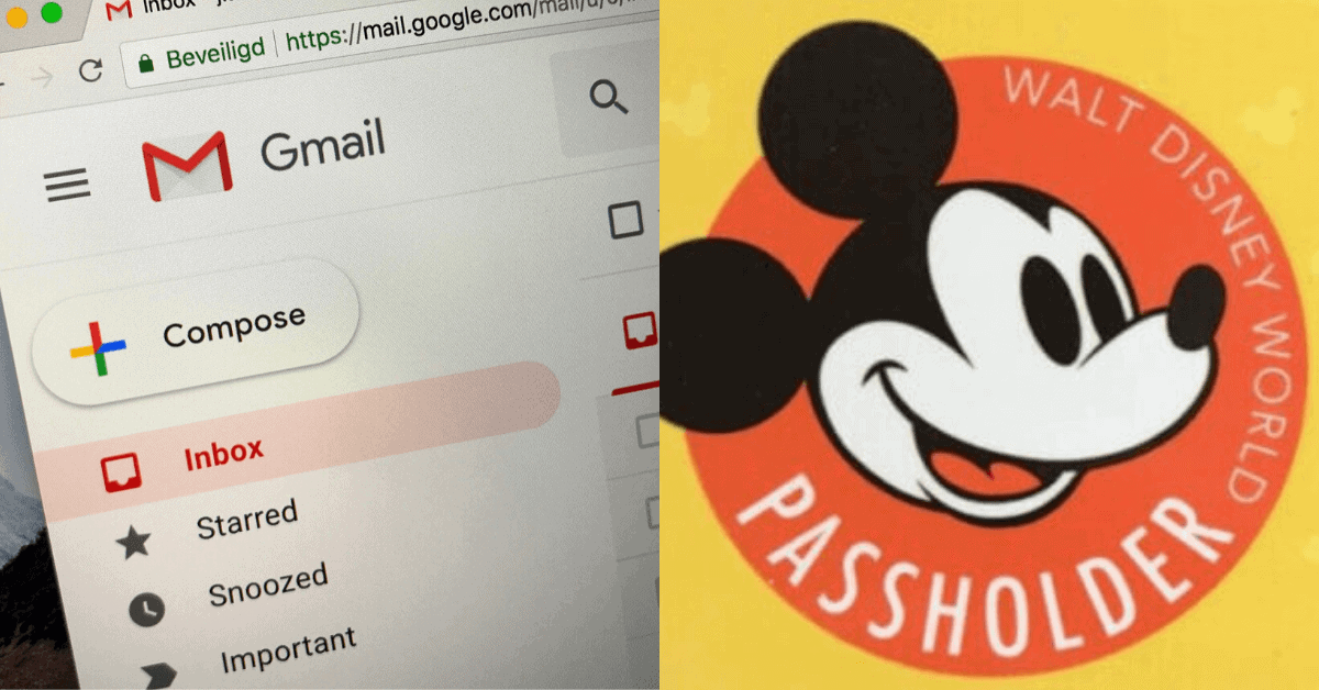 Disney World Annual Pass