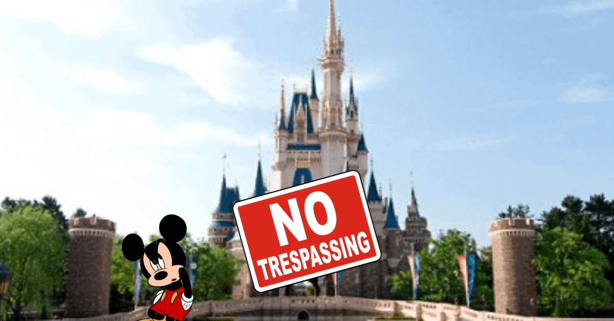 Tokyo Disney Break-in