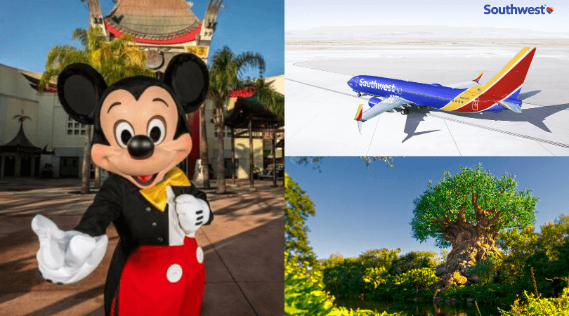southwest ceo disney parks reopen