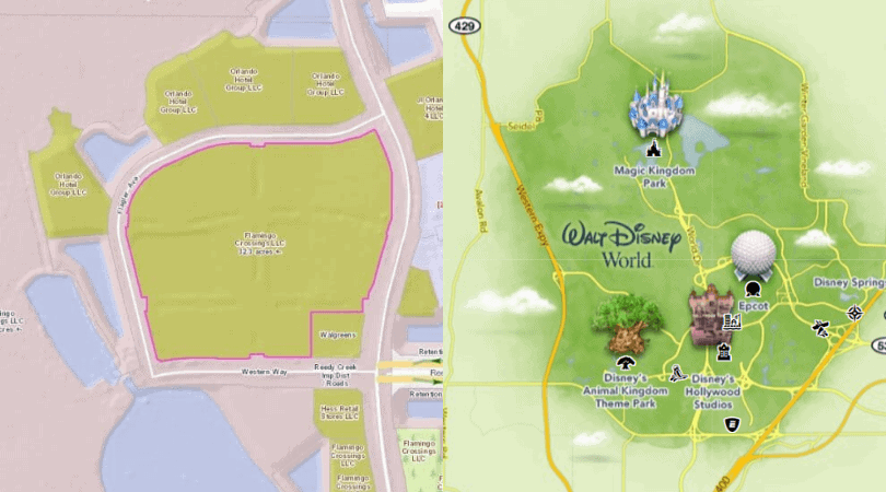 disney flamingo crossings