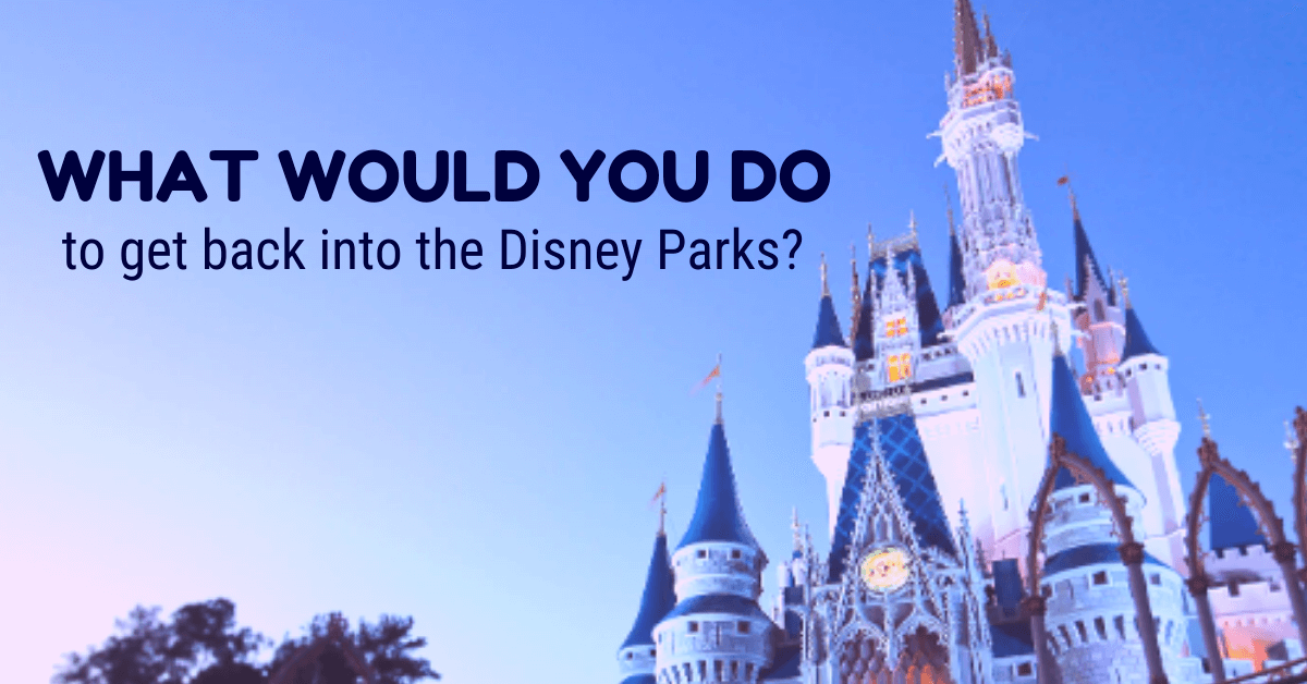 what would you do hero image