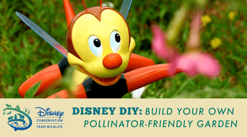 Bee promoting Disney DIY for the garden 
