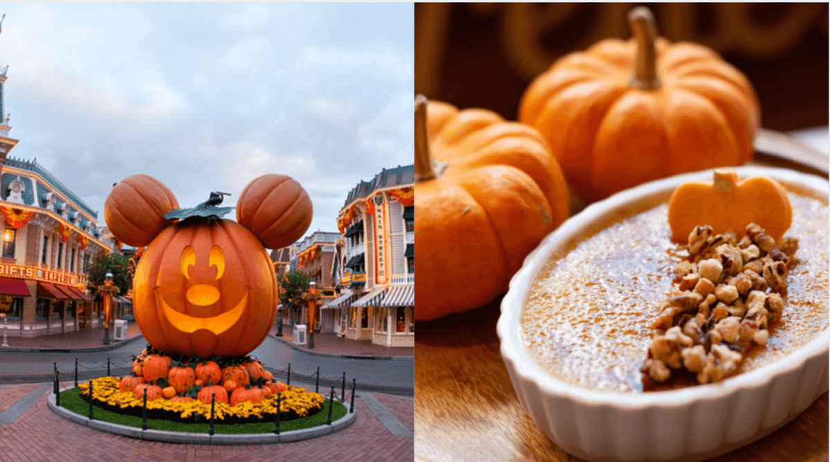brulee header