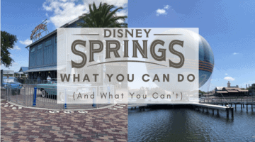 disney springs cans and can'ts header