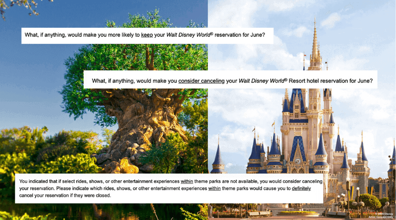 disney survey