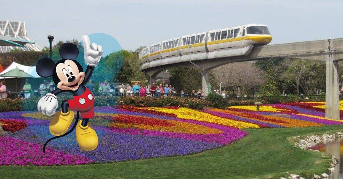 disney world