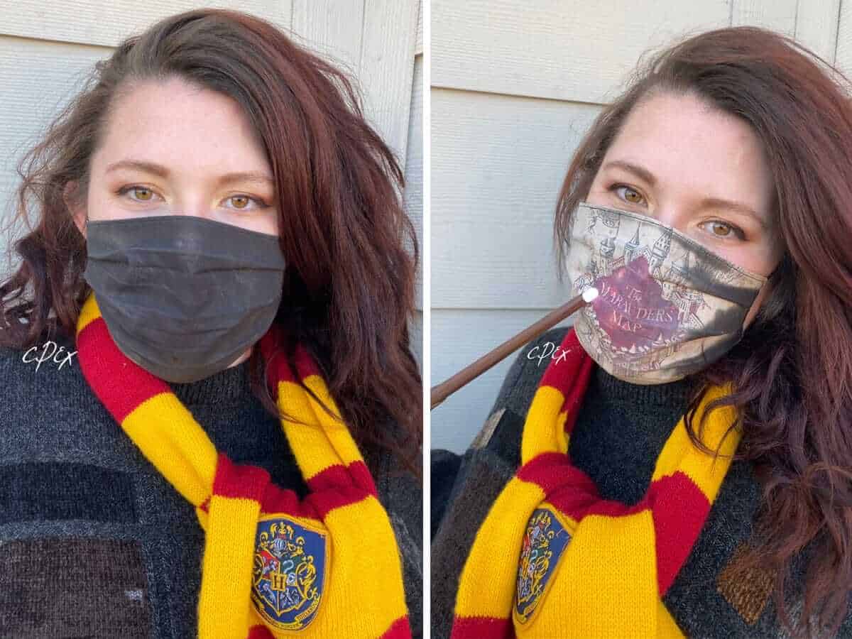 Harry Potter Face Mask