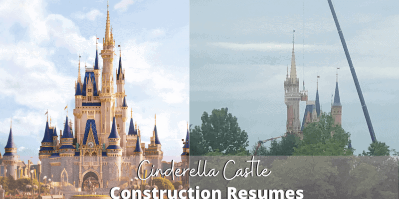 Cinderella Castle Construction