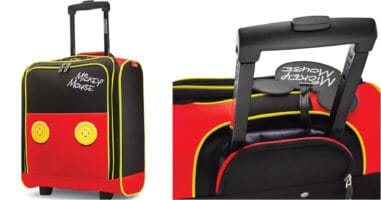 Disney luggage cover photo.