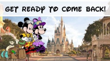 Mickey and Minnie Mouse on the Left, Magic Kingdom Castle as background