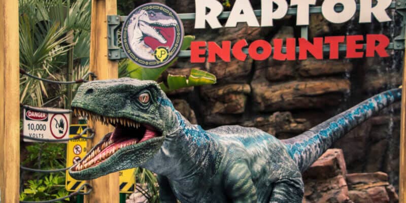 Blue at Jurassic Park's Raptor Encounter
