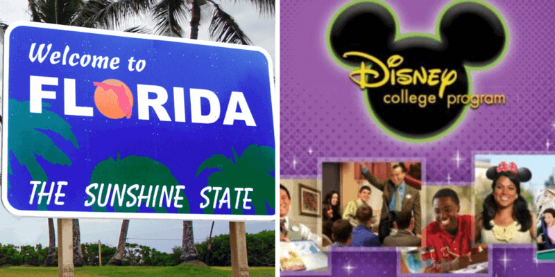 Disney College Program