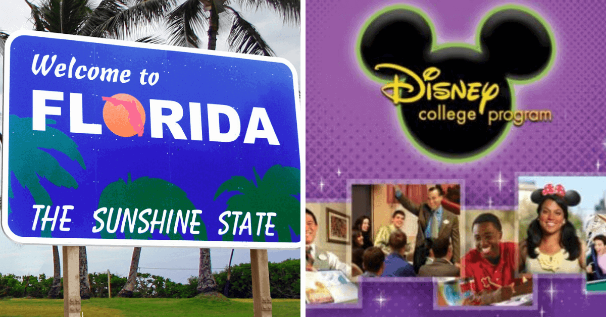 Disney College Program