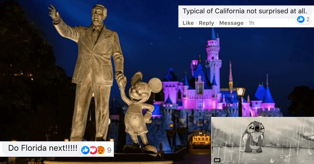 Disneyland Fans Reactions