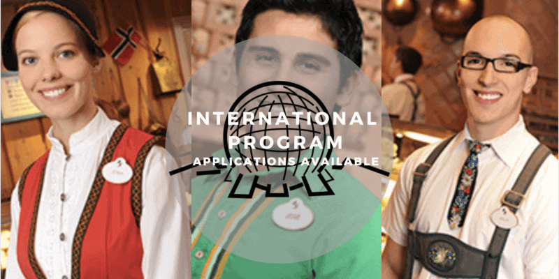 international program applications header