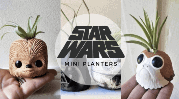 star wars planters header