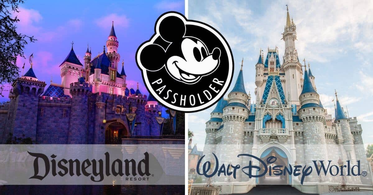Disney castles and annual pass magnet