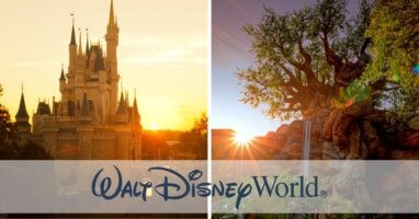 Cinderella Castle and Tree of Life