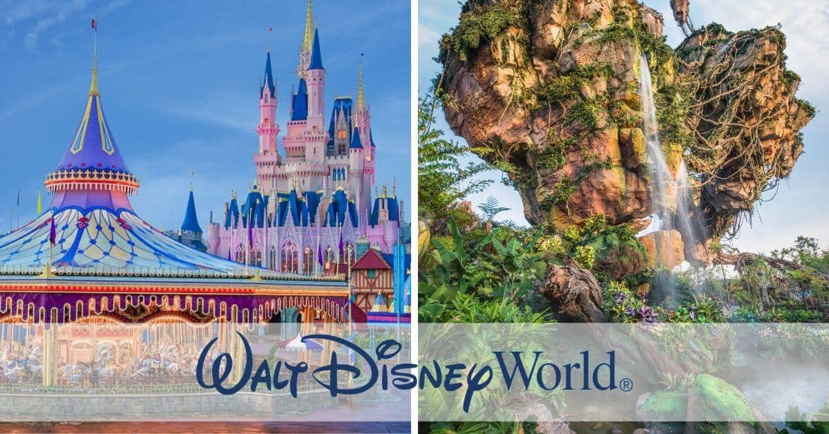 Tree of Life and Cinderella Castle