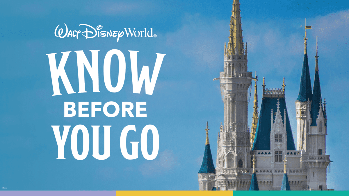 disney park pass
