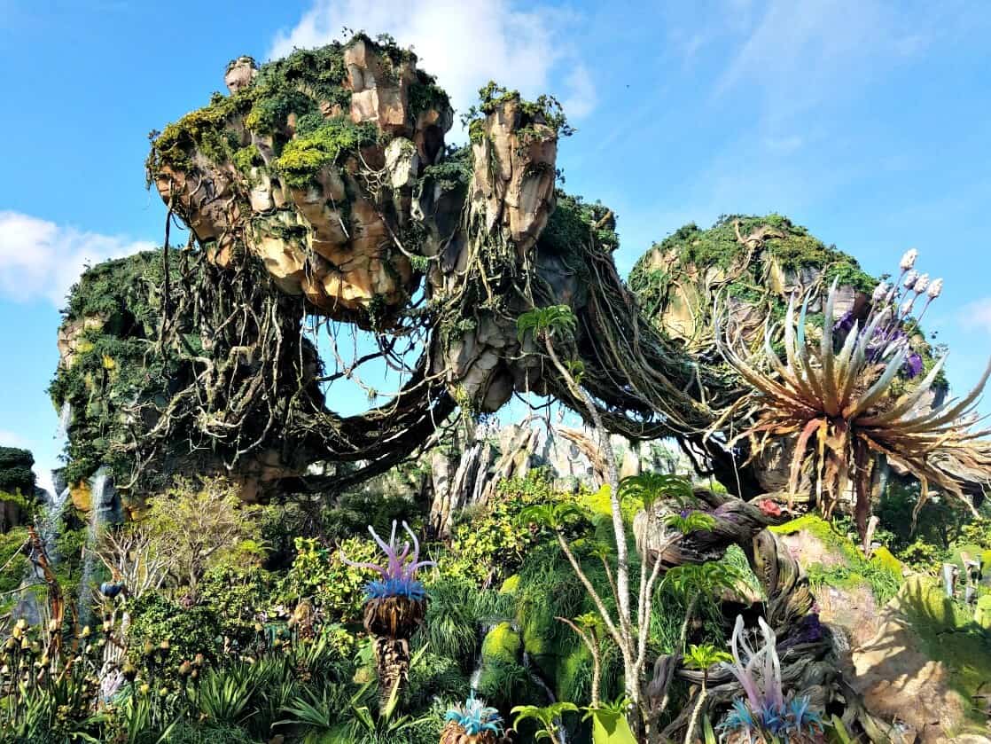 Disney's Animal Kingdom