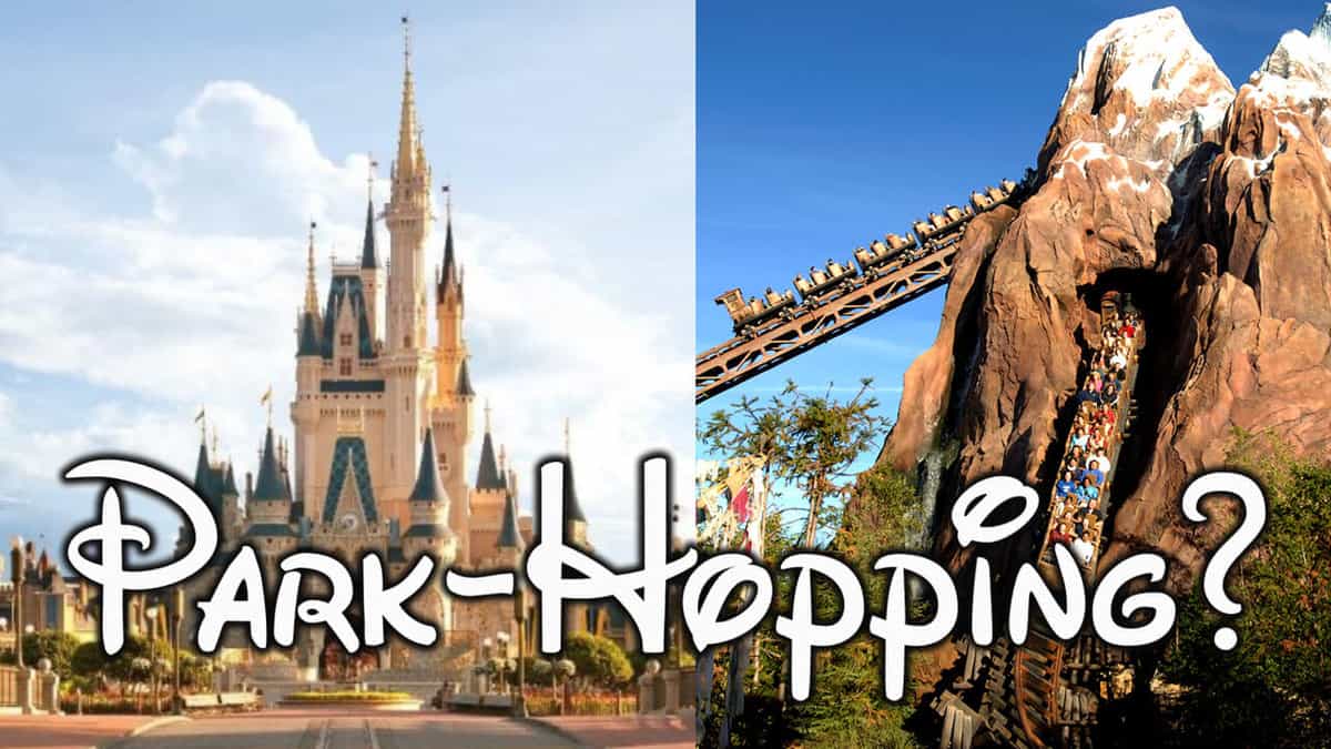 cinderella castle and expedition everest