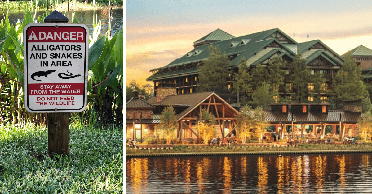 NBA Walt Disney World Nature