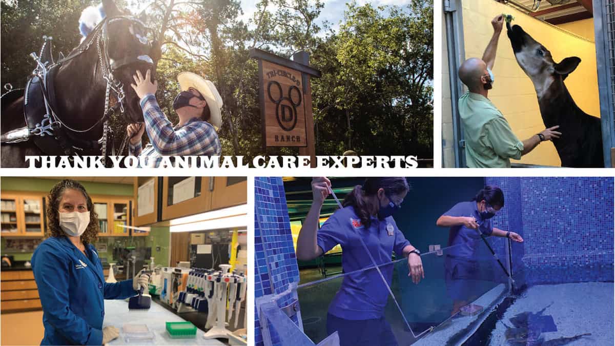Disney Animal Care Team