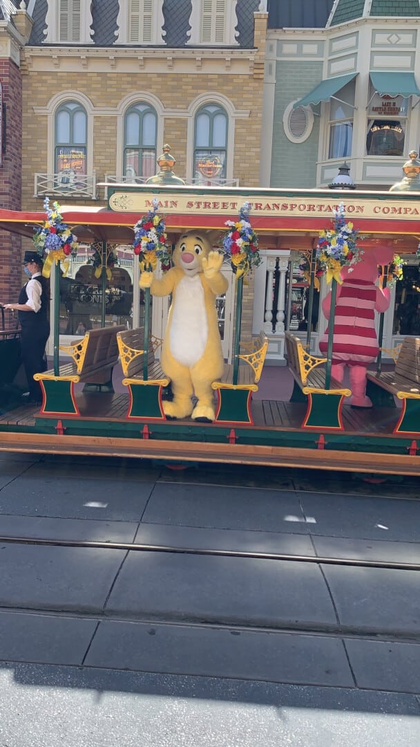 Honest Review: Modified Character Interactions at Magic Kingdom