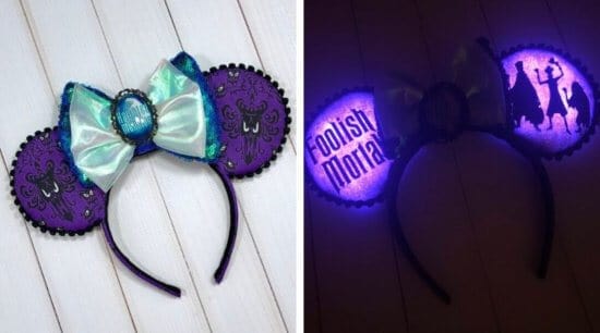 Minnie ears