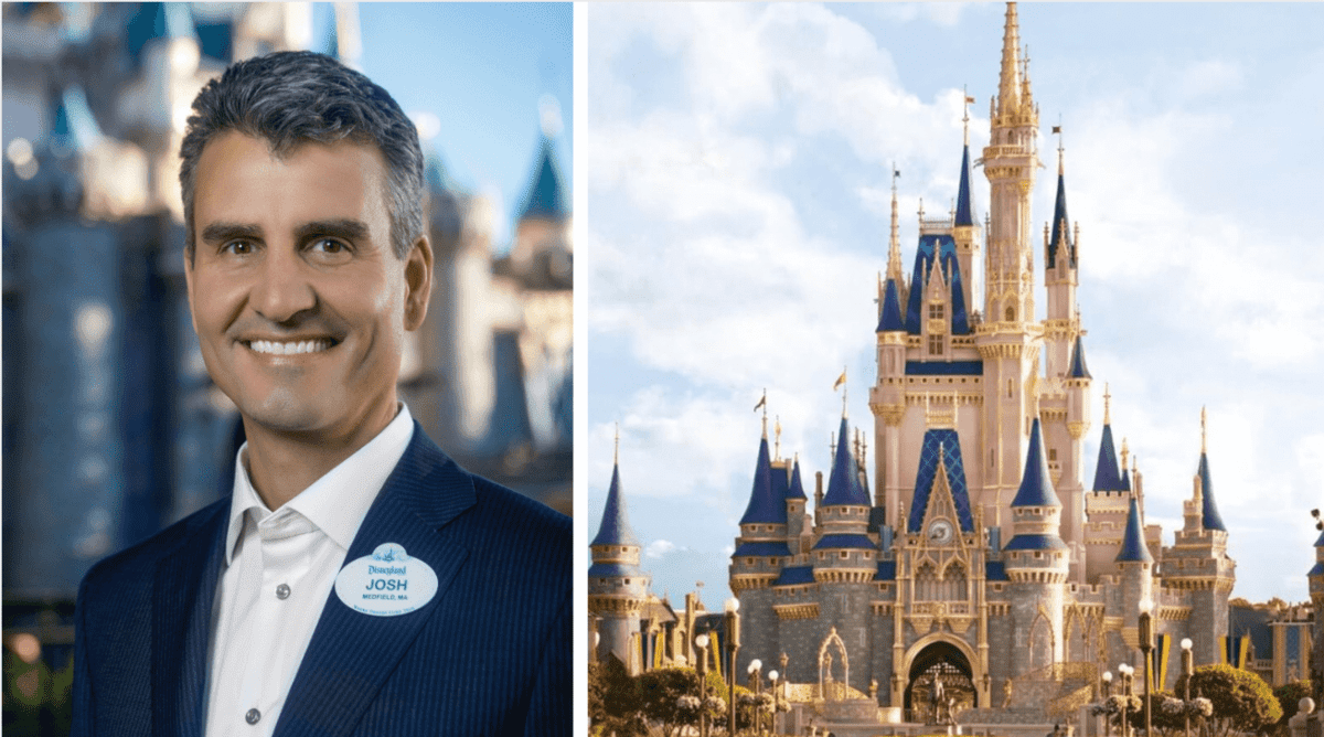 d'amaro wdw comments header
