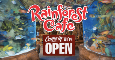 rainforest cafe reopen header