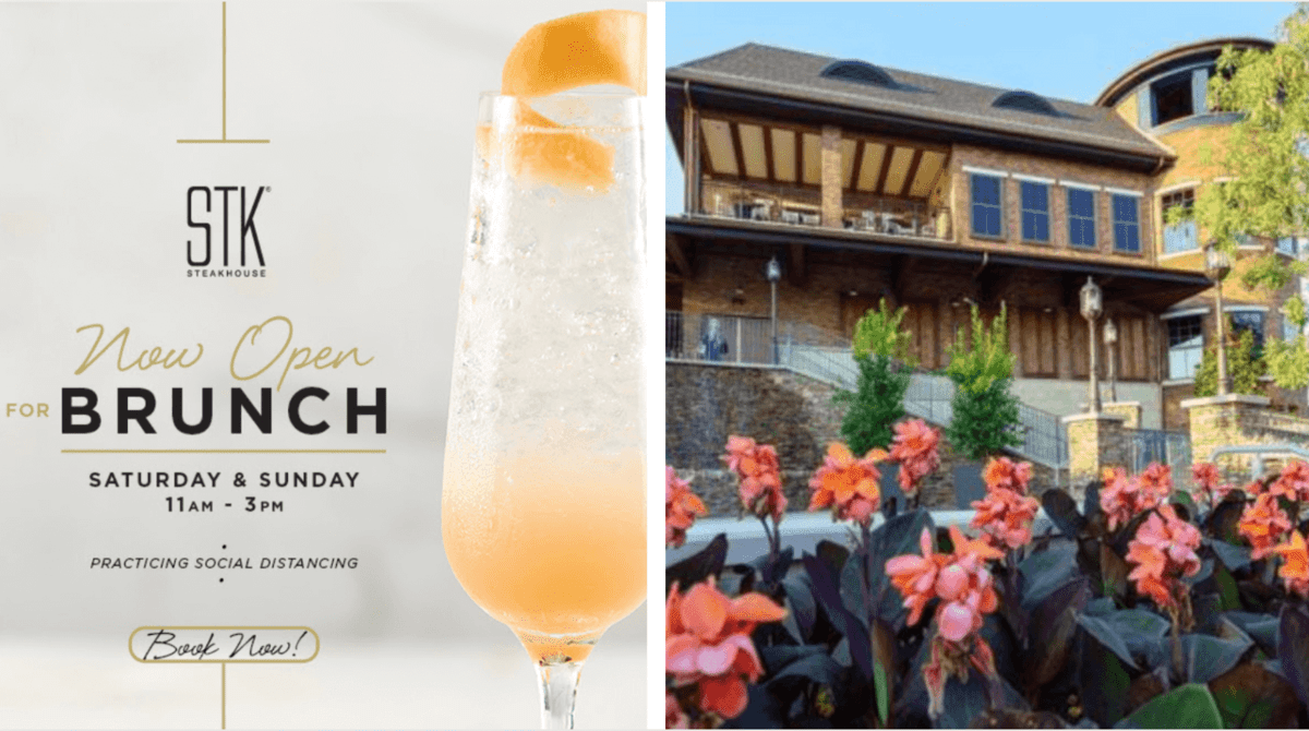 stk brunch header