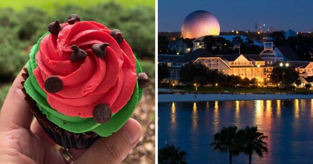 watermelon cupcaake